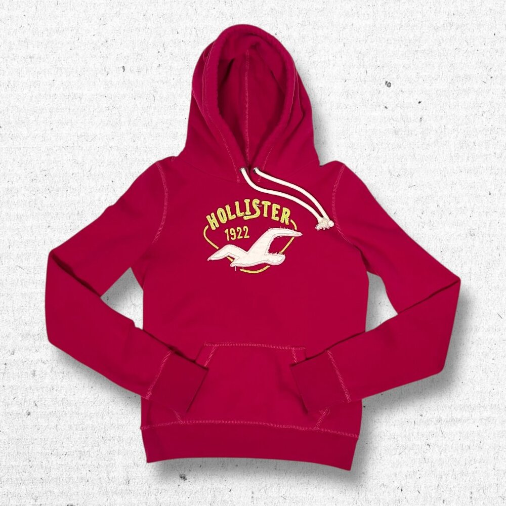 Y2K Women’s Pink Hollister Co. Hoodie